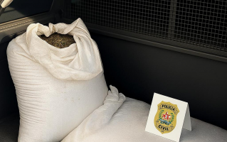 Polícia Civil recupera café furtado em Carmópolis de Minas; produto foi avaliado em cerca de R$ 4,5 mil 
